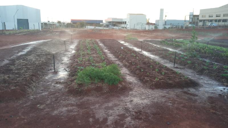  Projeto de Irrigação para Horta IFMG