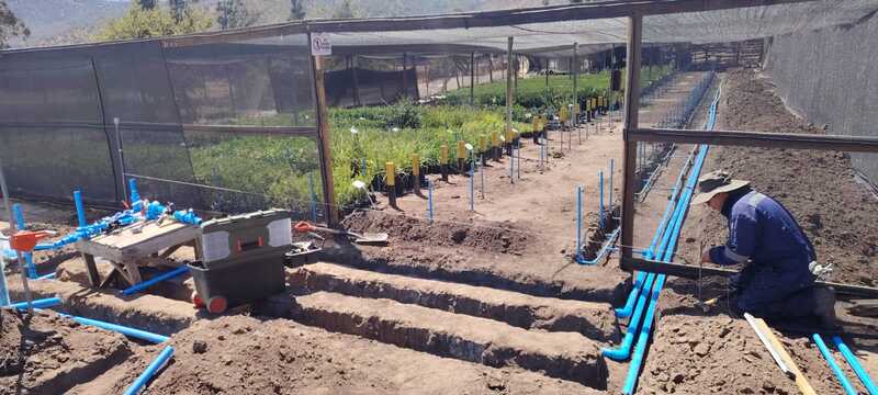 Projeto realizado por Carlos Alberto