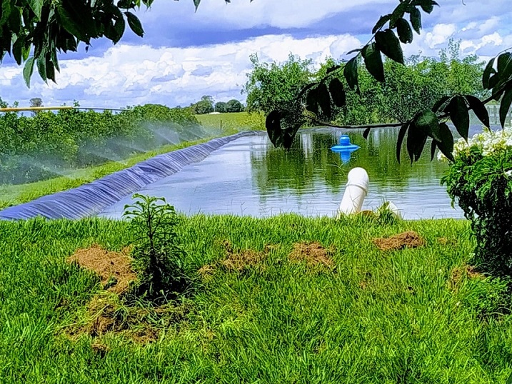 Projeto de irrigação dos Jardins da Fazenda Putton