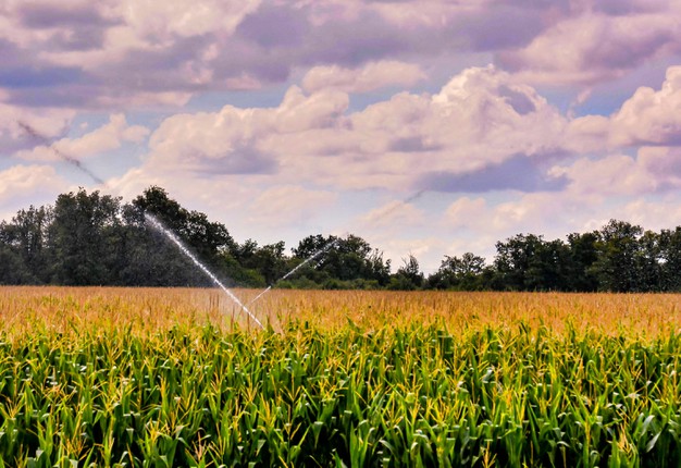 Projeto no Rio Grande do Sul quer maximizar a eficiência de sistemas de irrigação