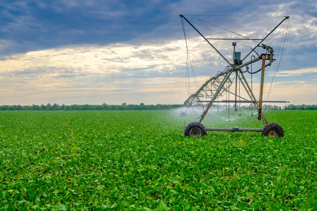 Conheça alguns dos sistemas de irrigação mais utilizados na agricultura