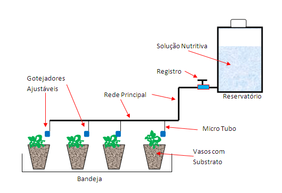 Hidroponia - Sistema Gotejamento