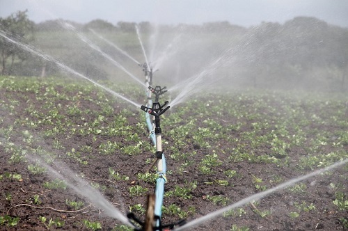 Irrigação de precisão: sustentabilidade e economia