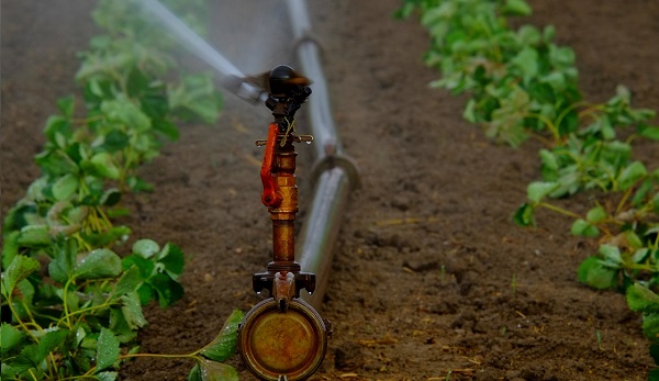 Embrapa Solos disponibiliza sistema que classifica terras para irrigação