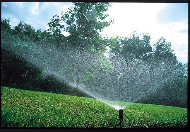 Reutilização da água para irrigação agrícola: Conselho adota novas regras
