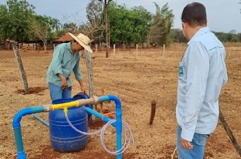 Investimento em sistema de irrigação resulta no aumento da produção de leite, afirma produtor