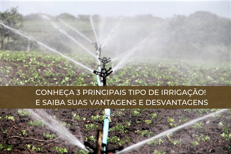 Conheça 3 principais tipo de irrigação! E saiba suas vantagens e desvantagens