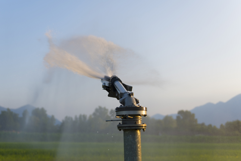 Irrigação e manutenção: prática necessária para quem quer o melhor