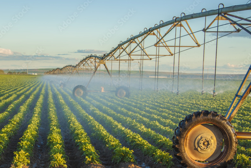 Sistema de irrigação em plantação