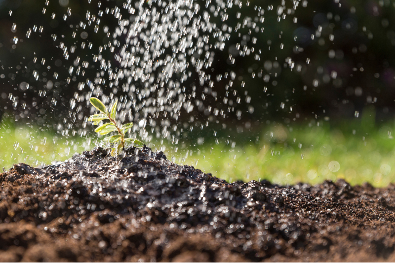 Irrigação x seca: as bases para criação de um sistema eficaz