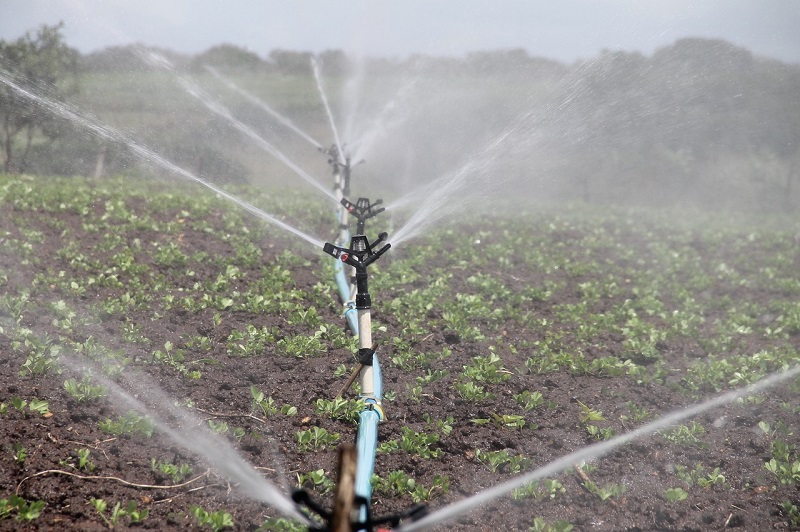 Os porquês de adotar uma irrigação automatizada