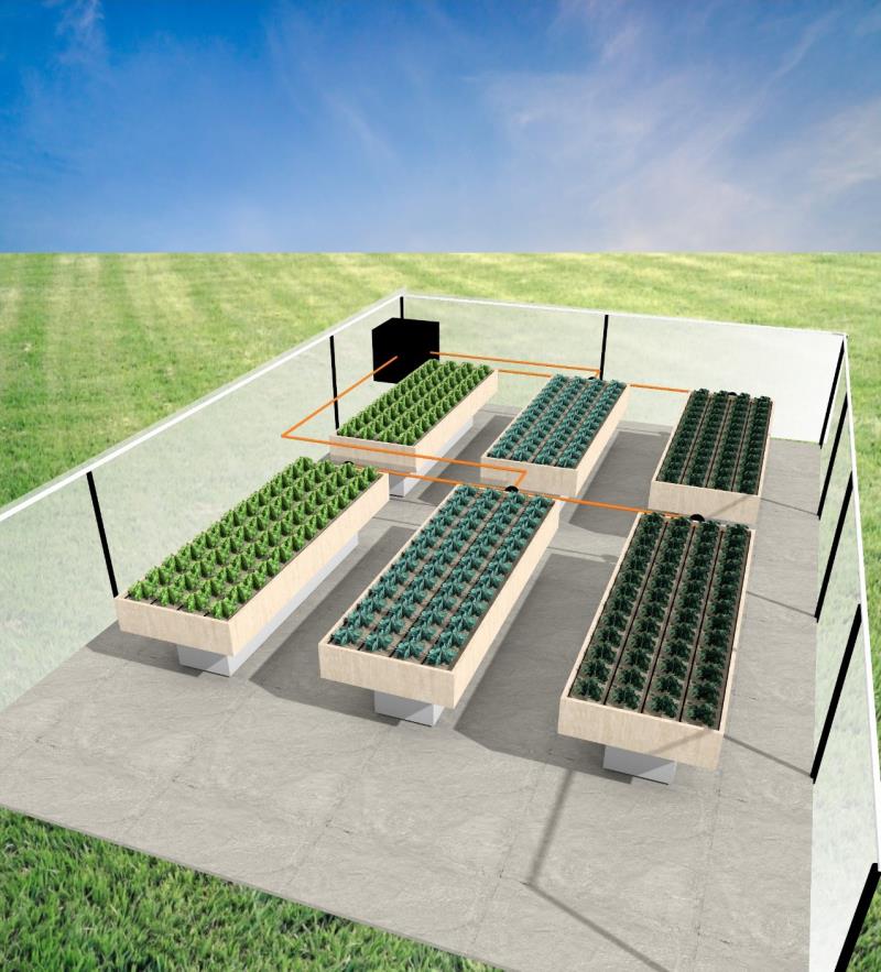   Imagem 3D feita com o VisualPLAN demonstrando o tipo de projeto de irrigação em estufa do Webnário