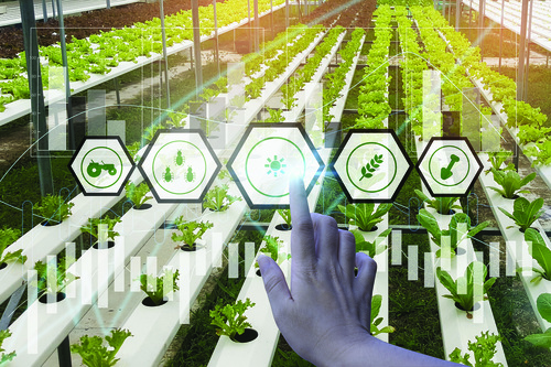 Inovação na Agricultura: Injetor de Fertilizantes Automatizado para Fertirrigação