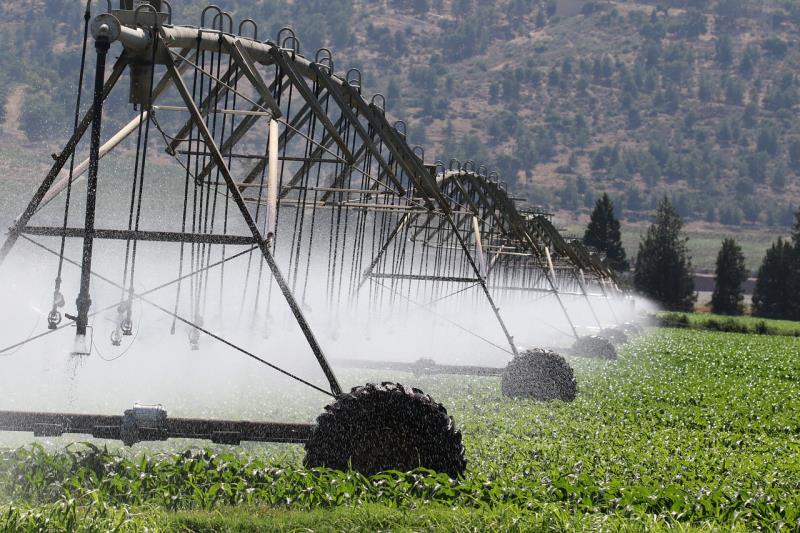 15 de Junho: Dia Nacional da Agricultura Irrigada e o Futuro Sustentável da Agricultura no Brasil