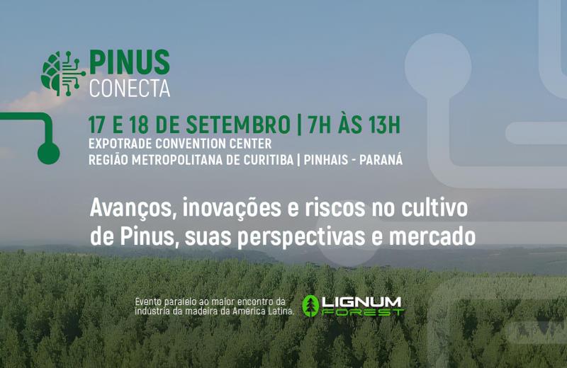 Pinus Conecta 2024: Encontro de Especialistas e Inovações no Cultivo de Pinus no Brasil