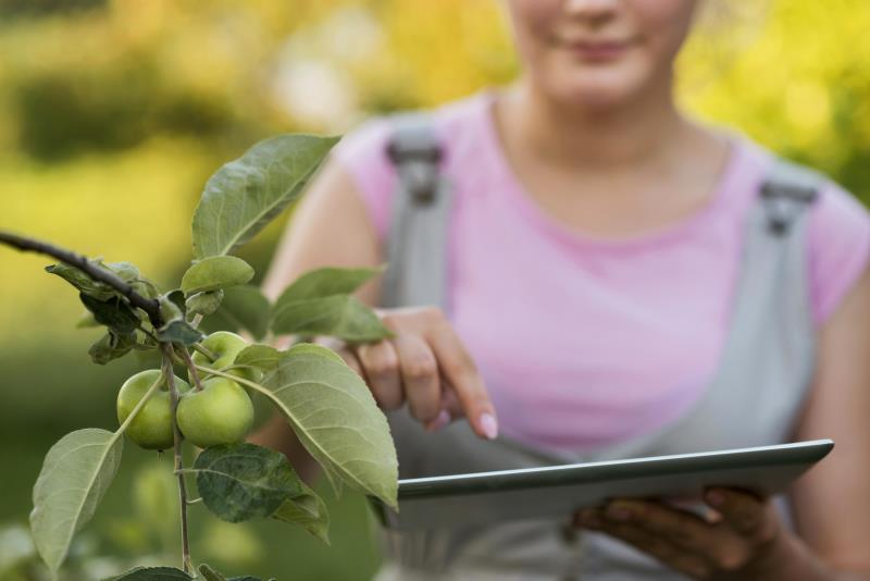 Sensor IA Revoluciona Irrigação: Economia de Água na Agricultura