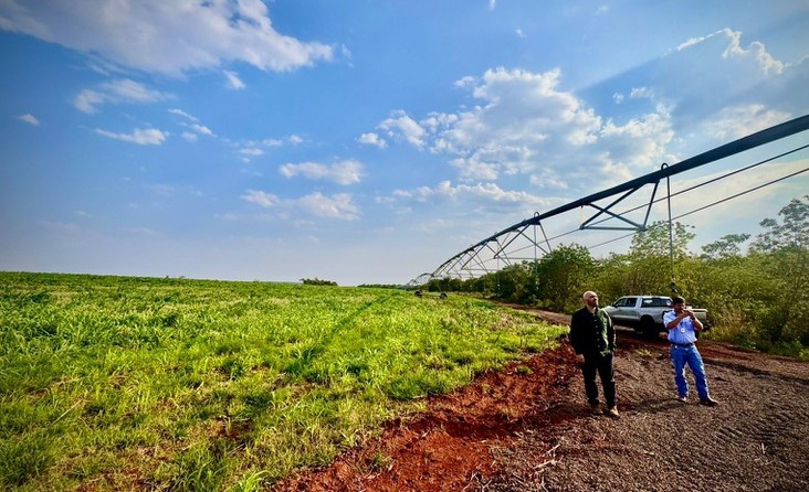 O Brasil já conta com 15 polos de agricultura irrigada