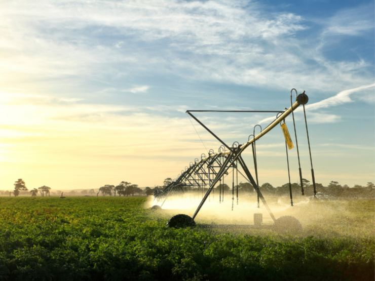 A MTR SOLAR oferece soluções inovadoras de autonomia de energia para o setor agropecuário