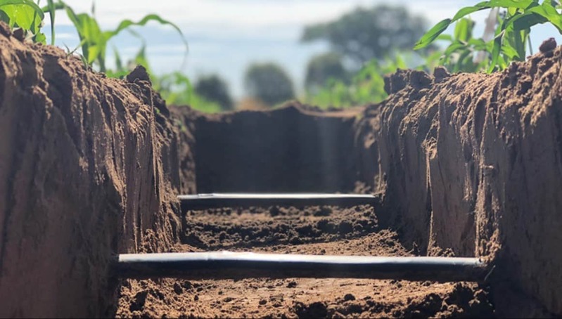 Irrigação Subterrânea por Gotejamento Revoluciona a Produção de Café e Cana no Norte do ES