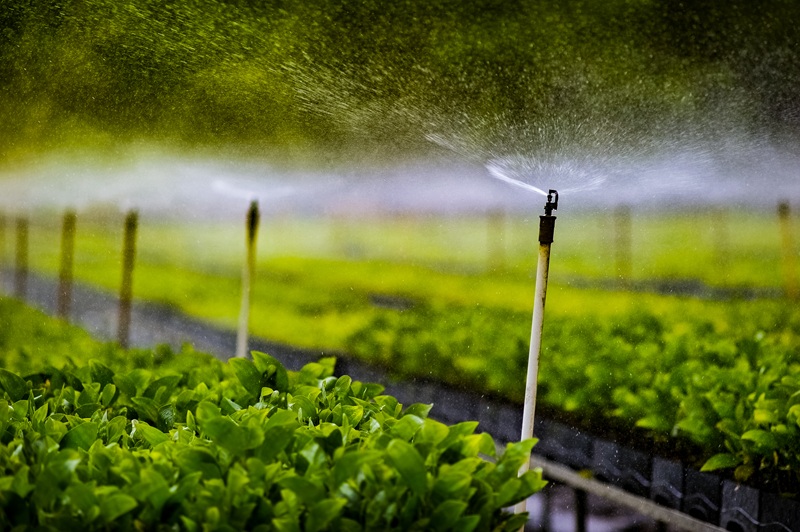 Irrigação no Brasil do Campo aos Jardins: A eficiência no uso da água nos sistemas agrícolas