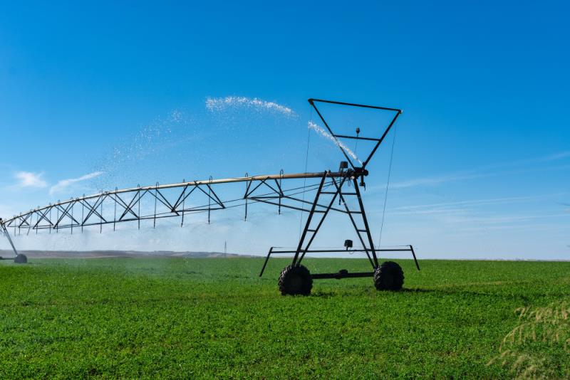 Irrigação com Pivô Central