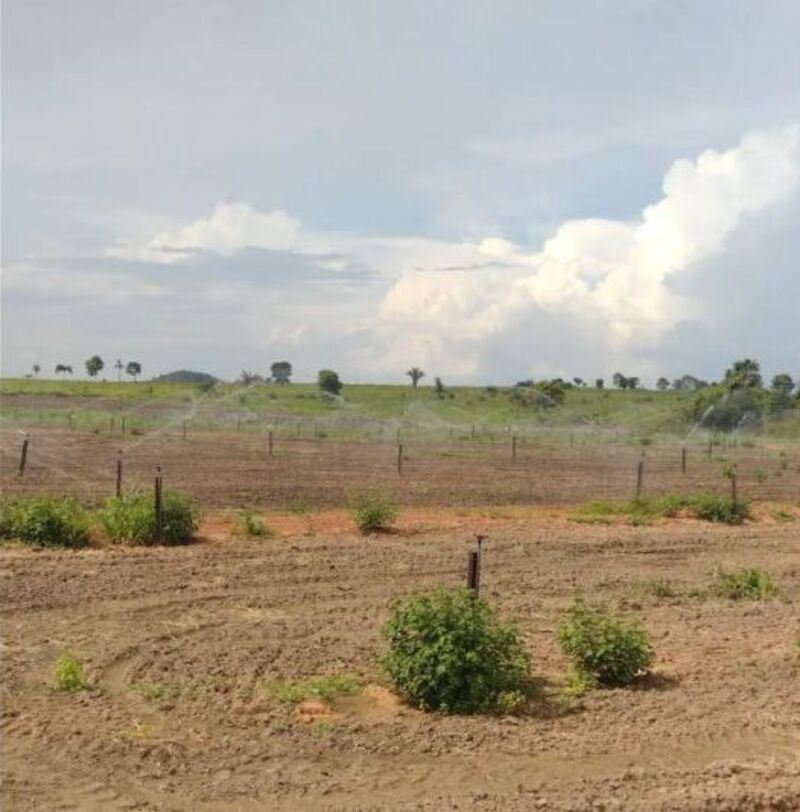 Ampliação do sistema de irrigação para pastagem