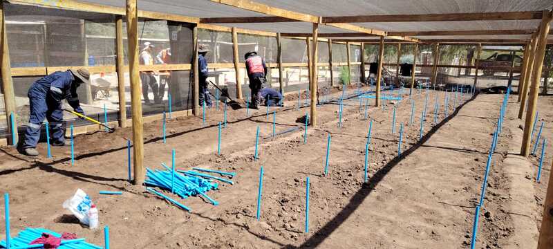 Projeto realizado por Carlos Alberto