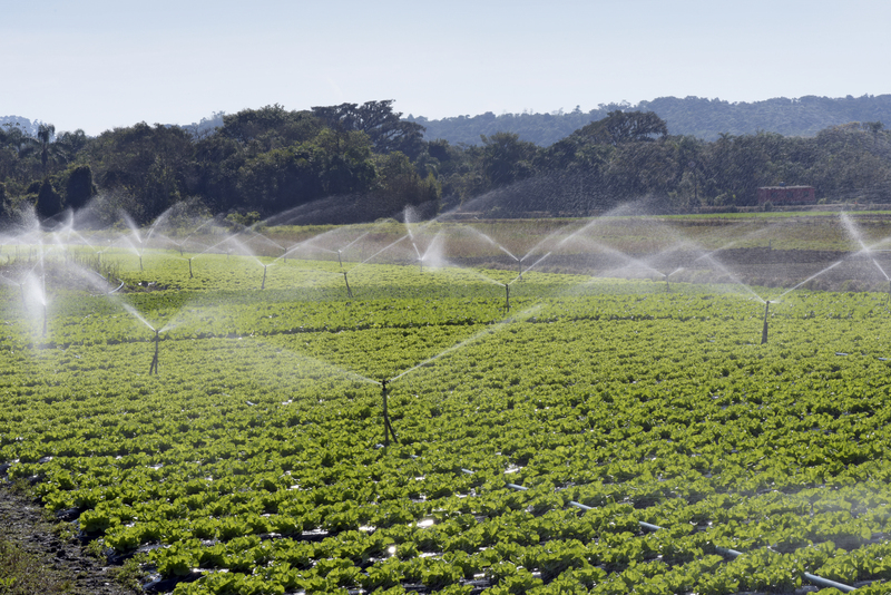 Irrigação no agro