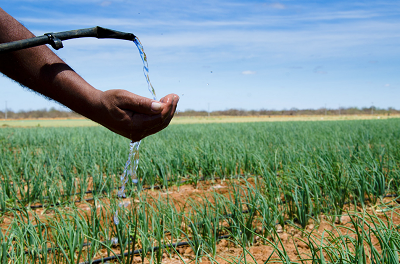 Mercado de irrigação automatizada chegará a US$ 6,7 bi até 2025