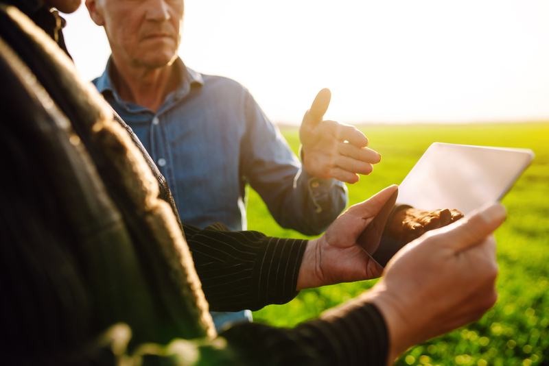 Dicas para Orçamento e Implantação de Irrigação Automatizada