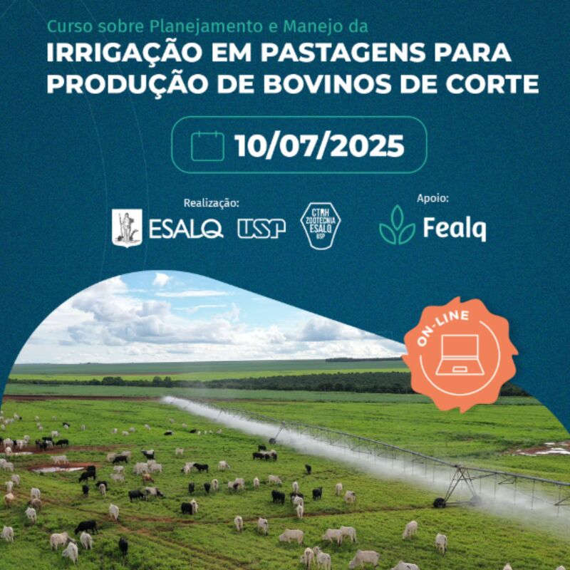 Capacitação Online em Irrigação de Pastagens para Bovinos de Corte Acontece em Julho