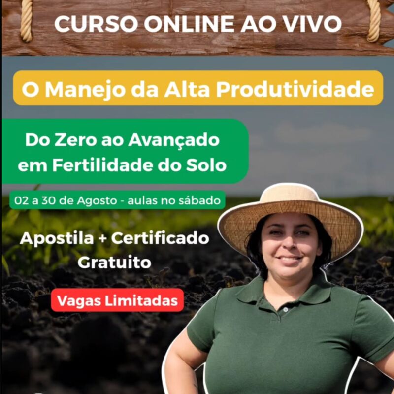 O Manejo da Alta Produtividade: Do Zero ao Avançado em Fertilidade do Solo