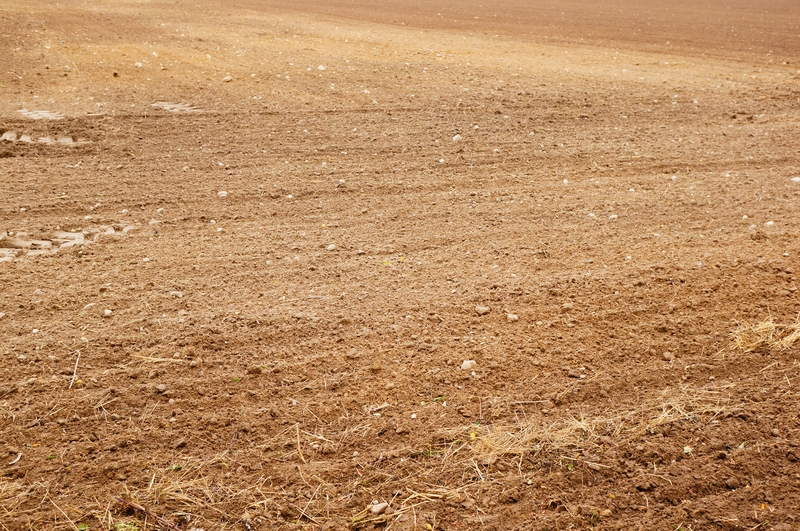 Como Evitar a Compactação do Solo