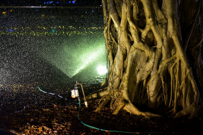 Irrigação Noturna: Eficiência Hídrica e Econômica para o Produtor Rural