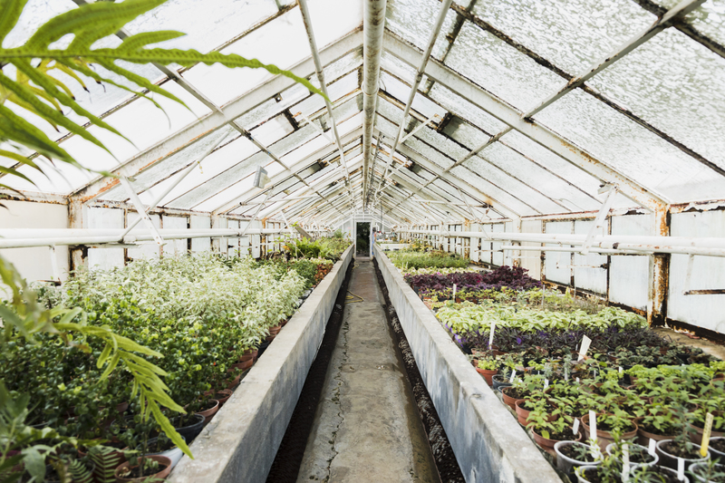 Como Irrigar em Estufas com Alta Precisão