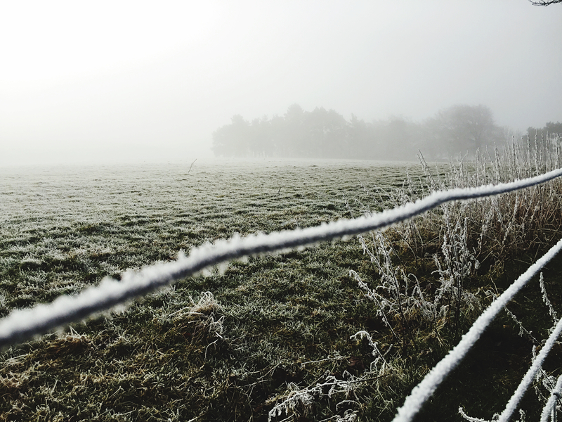 Irrigação no Inverno: Como manter o solo saudável, evitar perdas e garantir produtividade no frio