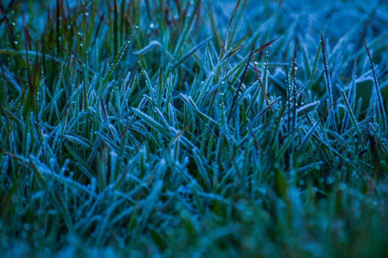  Irrigação no Inverno