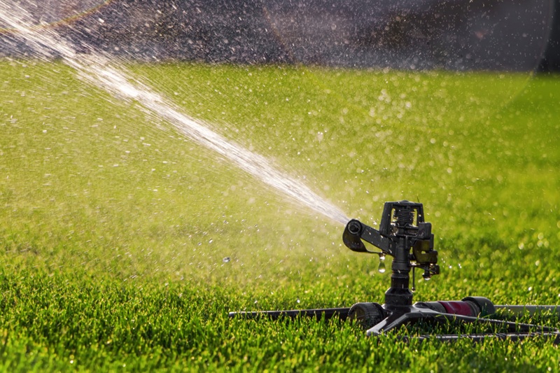 Irrigação Manual x Automática: Impactos no Consumo e Custo da Água