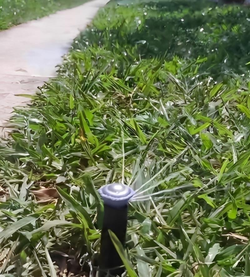 Projeto Realizado por Mateus Libarino