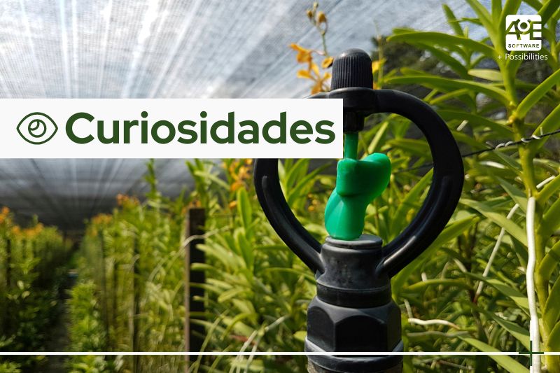 O papel da Irrigação na Recuperação de Áreas Degradadas